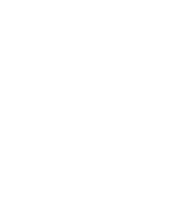 Aarhus Maler Team